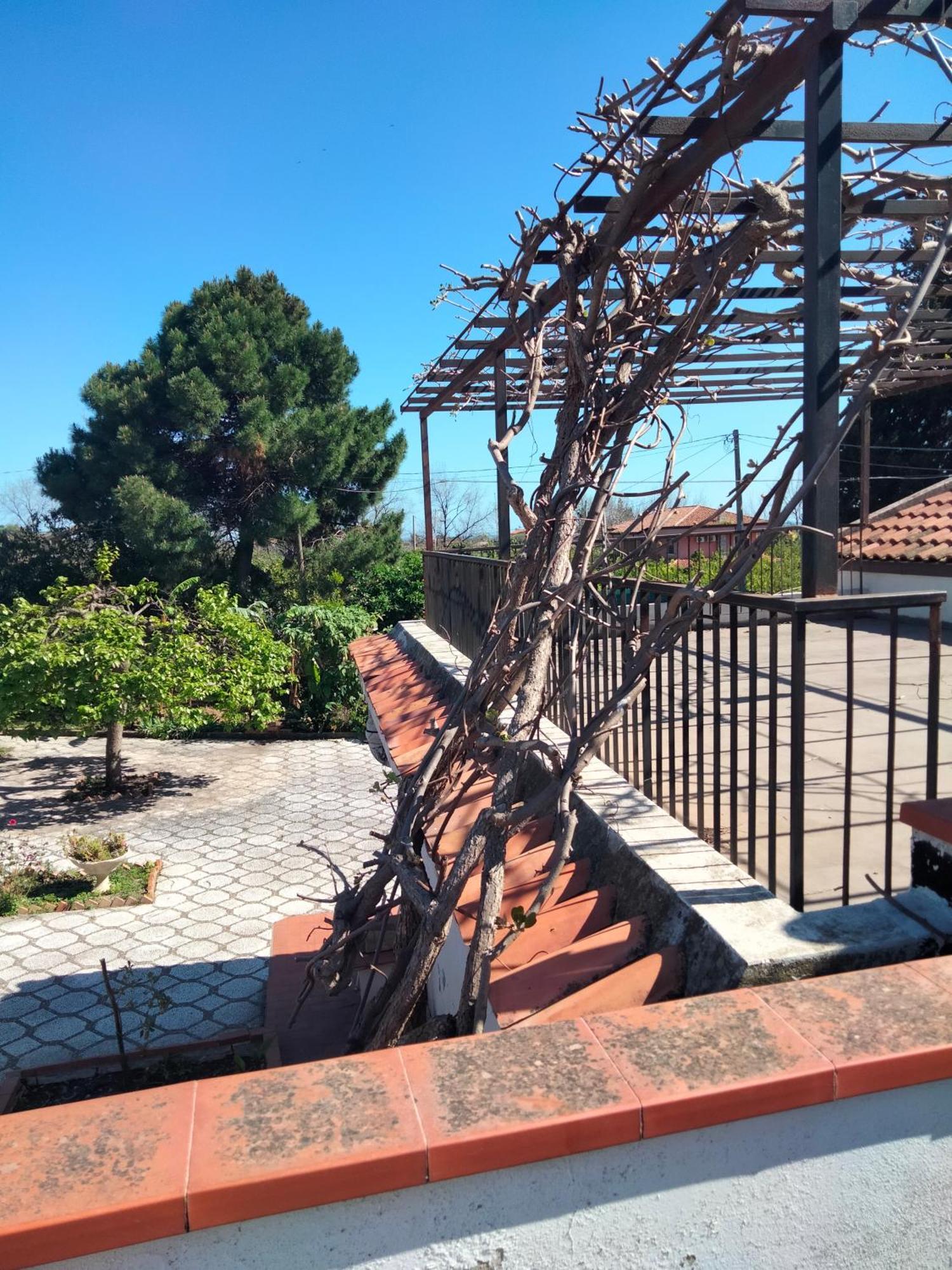 Etna View Letizia A Сasa de vacaciones Taormina